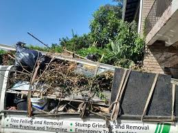 Best Moving and Downsizing Cleanouts  in Vaville, CA
